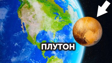Photo of Приключения в диких уголках планеты
