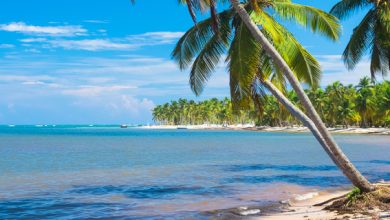 Photo of Экзотические пляжи: идеальный отдых за границей