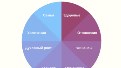 Photo of Важность проверки в различных сферах жизни