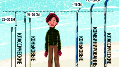 Photo of Особенности прогулочных беговых лыж